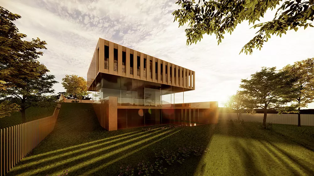 CASA ÁRBOL - imagen 3